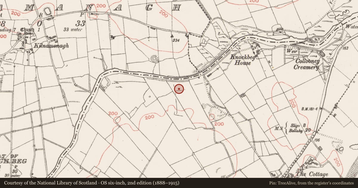 Ordnance Survey six-inch map, 2nd edition (1888–1915) covering the location of Moated site, Knockbeg West, County Sligo, with a pin at the register's coordinates