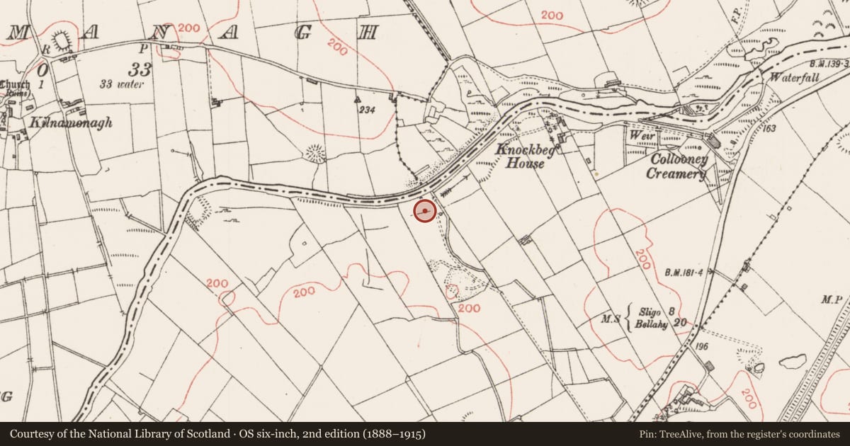 Ordnance Survey six-inch map, 2nd edition (1888–1915) covering the location of Enclosure, Knockbeg West, County Sligo, with a pin at the register's coordinates