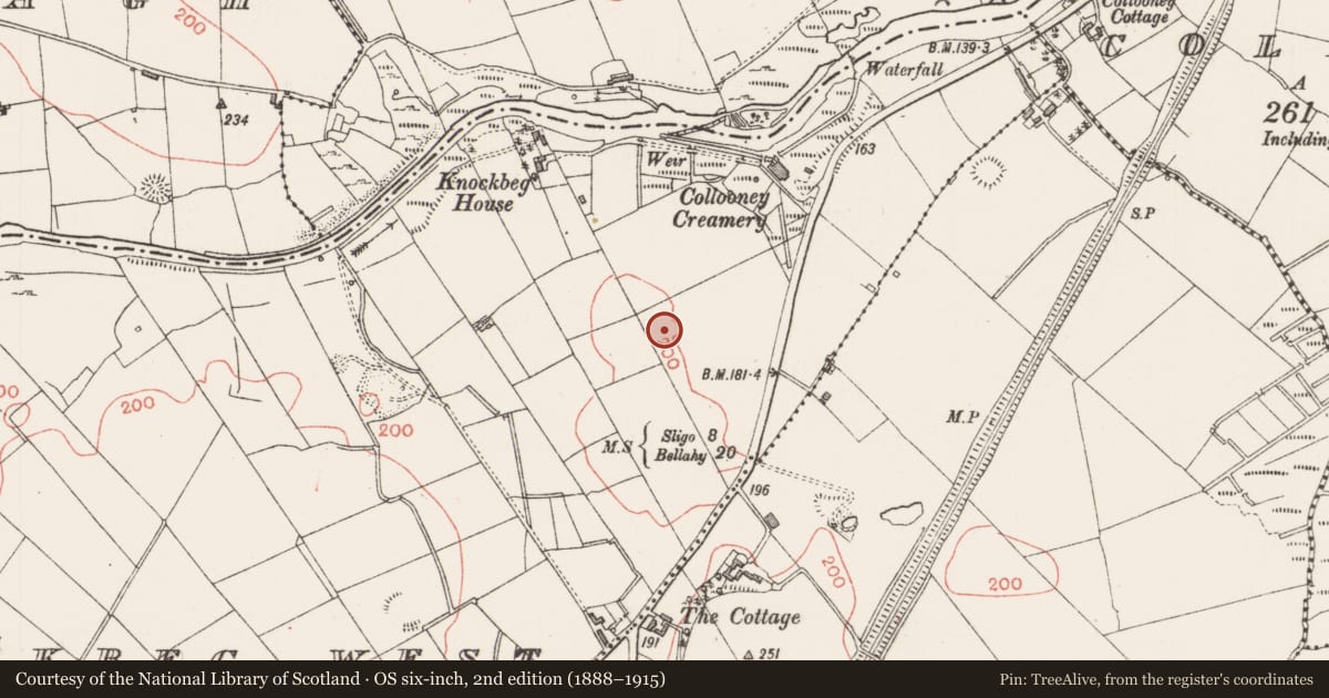 Ordnance Survey six-inch map, 2nd edition (1888–1915) covering the location of Enclosure, Knockbeg West, County Sligo, with a pin at the register's coordinates