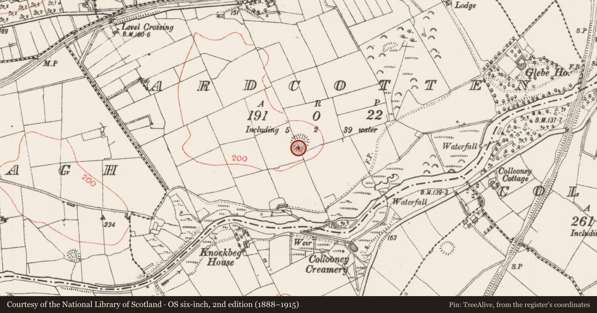 Ordnance Survey six-inch map, 2nd edition (1888–1915) covering the location of Ringfort - rath, Ardcotten, County Sligo, with a pin at the register's coordinates
