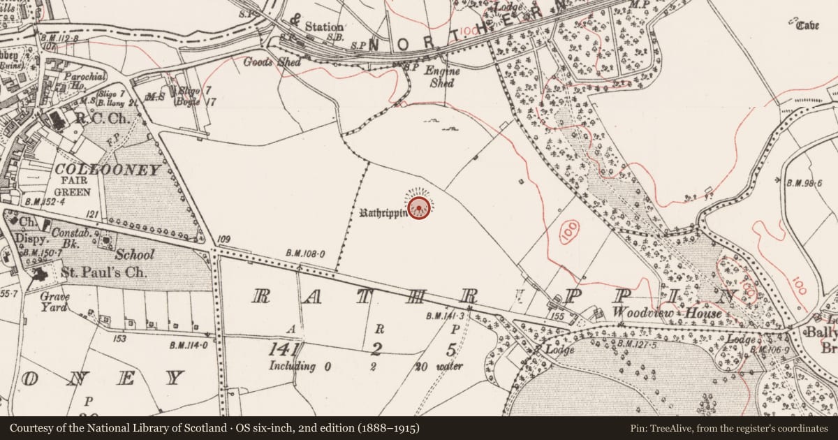 Ordnance Survey six-inch map, 2nd edition (1888–1915) covering the location of Ringfort - rath, Rathrippin, County Sligo, with a pin at the register's coordinates