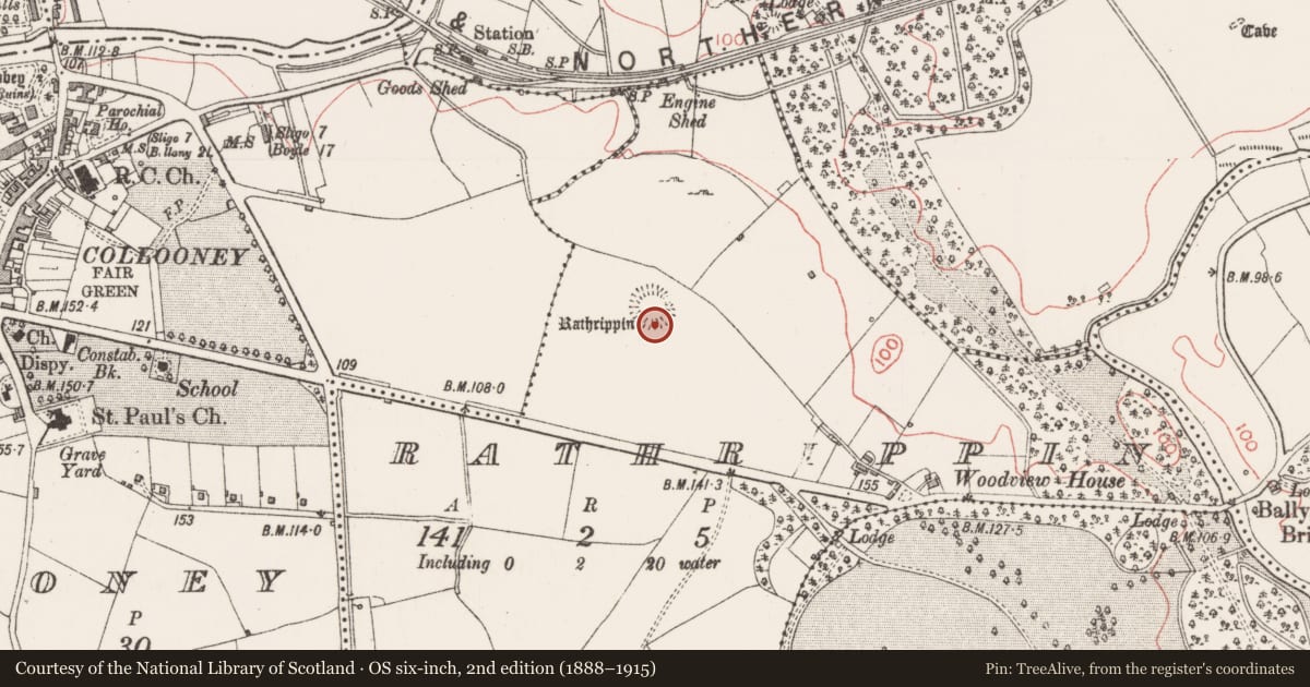 Ordnance Survey six-inch map, 2nd edition (1888–1915) covering the location of Souterrain, Rathrippin, County Sligo, with a pin at the register's coordinates