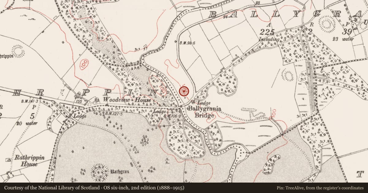 Ordnance Survey six-inch map, 2nd edition (1888–1915) covering the location of Cist, Ballygrania, County Sligo, with a pin at the register's coordinates