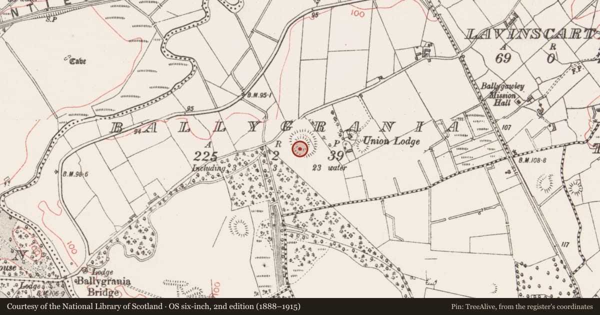 Ordnance Survey six-inch map, 2nd edition (1888–1915) covering the location of Ringfort - rath, Ballygrania, County Sligo, with a pin at the register's coordinates