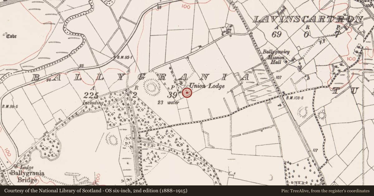 Ordnance Survey six-inch map, 2nd edition (1888–1915) covering the location of Ringfort - rath, Ballygrania, County Sligo, with a pin at the register's coordinates