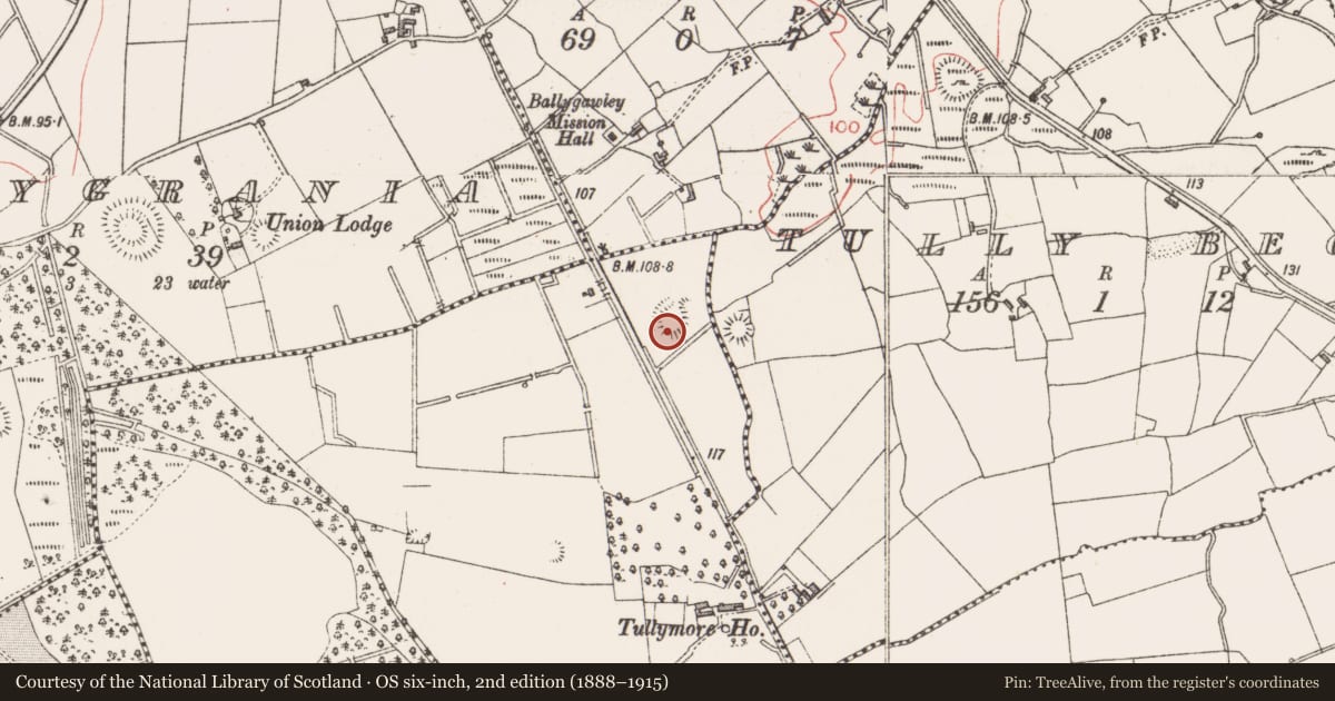 Ordnance Survey six-inch map, 2nd edition (1888–1915) covering the location of Enclosure, Tully More, County Sligo, with a pin at the register's coordinates