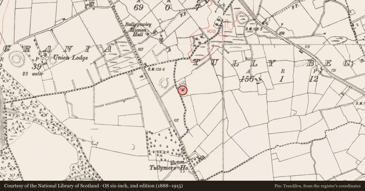 Ordnance Survey six-inch map, 2nd edition (1888–1915) covering the location of Enclosure, Tully Beg, County Sligo, with a pin at the register's coordinates