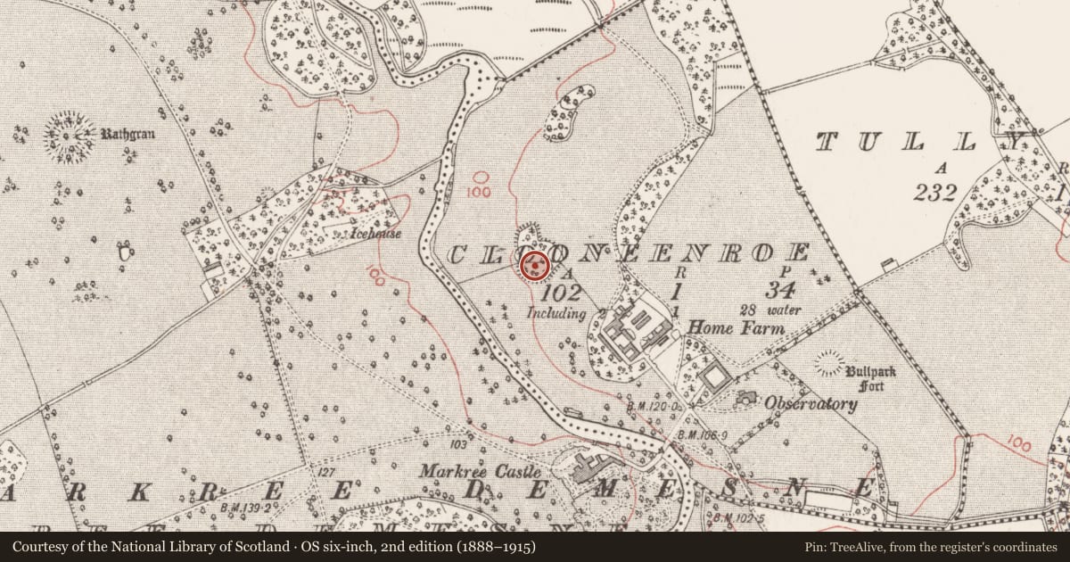 Ordnance Survey six-inch map, 2nd edition (1888–1915) covering the location of Designed landscape - tree-ring, Clooneenroe, County Sligo, with a pin at the register's coordinates
