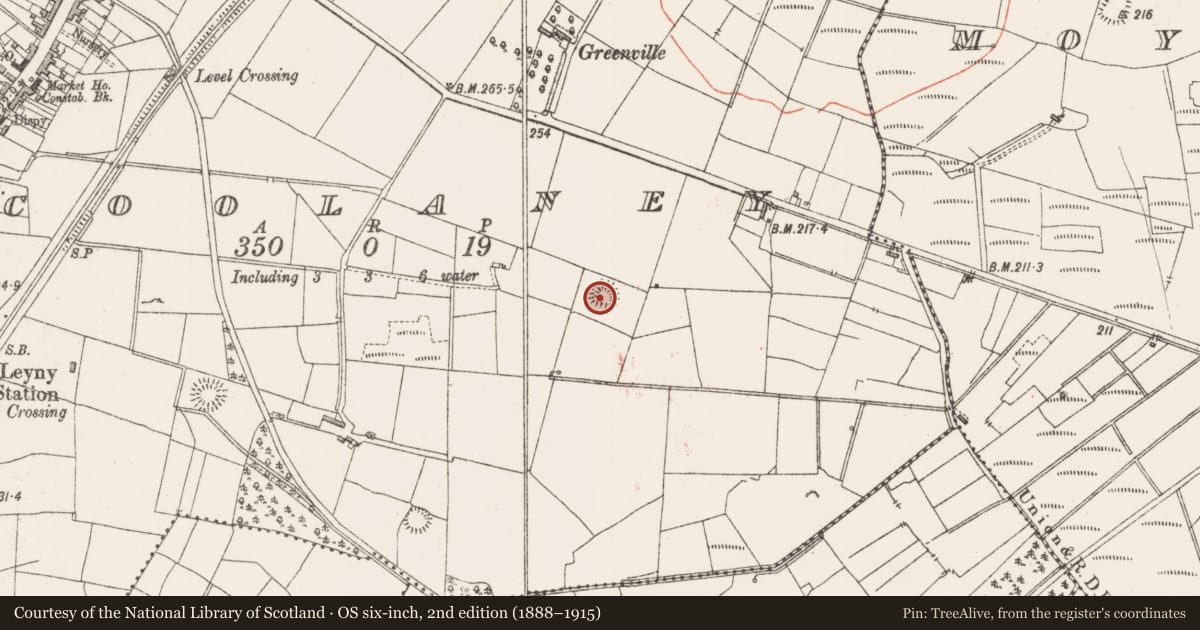 Ordnance Survey six-inch map, 2nd edition (1888–1915) covering the location of Ringfort - rath, Coolaney, County Sligo, with a pin at the register's coordinates