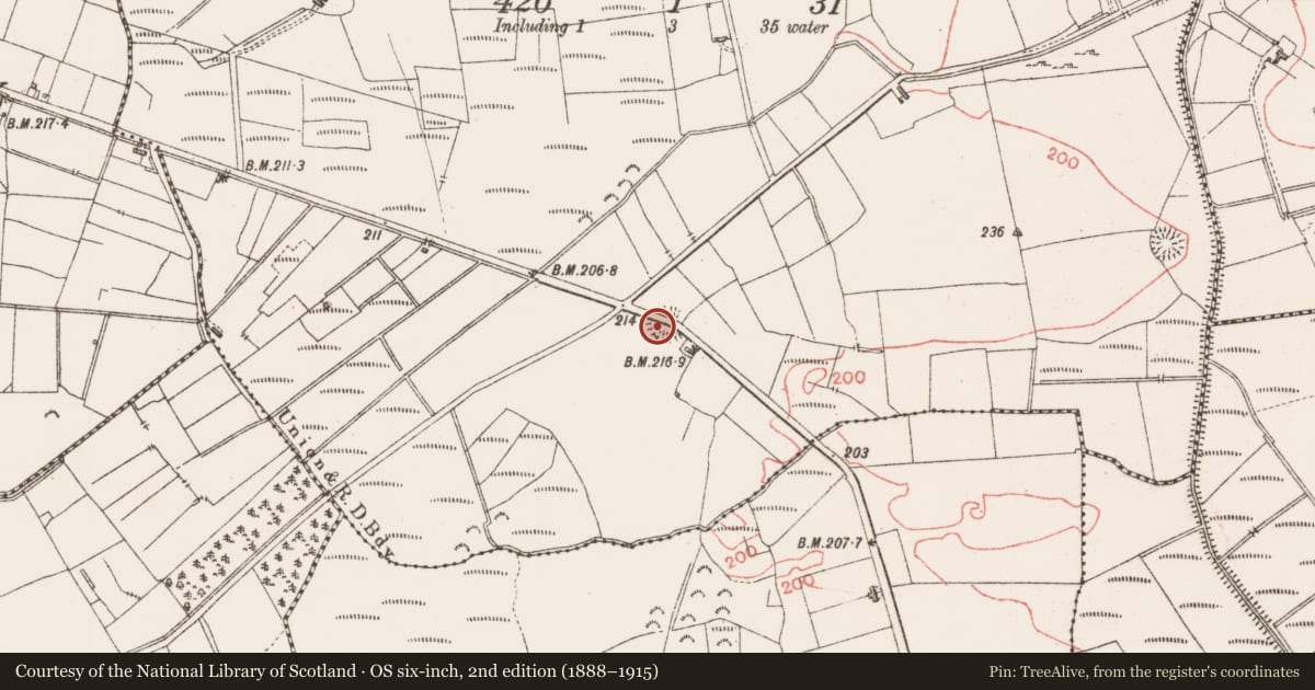 Ordnance Survey six-inch map, 2nd edition (1888–1915) covering the location of Ringfort - rath, Moymlough, County Sligo, with a pin at the register's coordinates