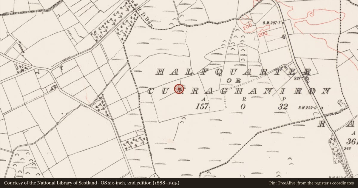 Ordnance Survey six-inch map, 2nd edition (1888–1915) covering the location of Ringfort - rath, Halfquarter Or Curraghaniron, County Sligo, with a pin at the register's coordinates