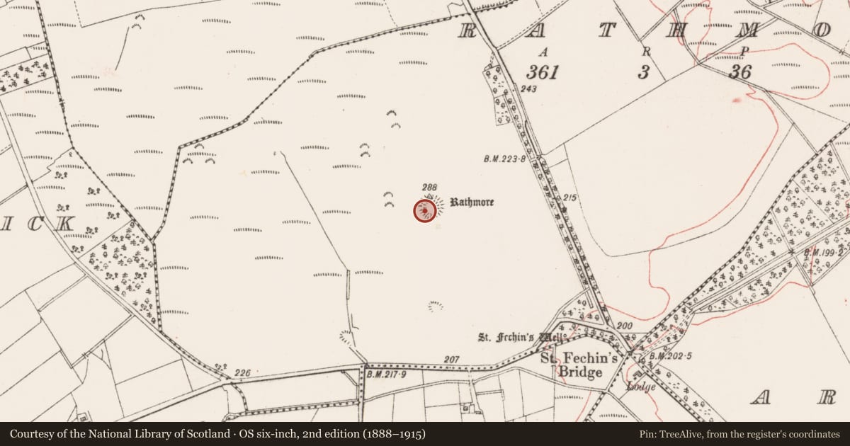 Ordnance Survey six-inch map, 2nd edition (1888–1915) covering the location of Ringfort - rath, Rathmore, County Sligo, with a pin at the register's coordinates