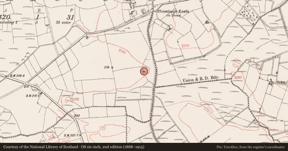 Ordnance Survey six-inch map, 2nd edition (1888–1915) covering the location of Ringfort - rath, Moymlough, County Sligo, with a pin at the register's coordinates