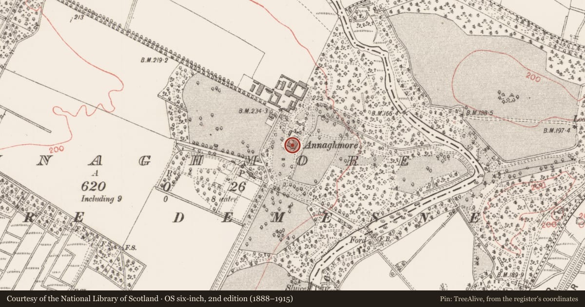 Ordnance Survey six-inch map, 2nd edition (1888–1915) covering the location of House - 16th/17th century, Annagh More, County Sligo, with a pin at the register's coordinates
