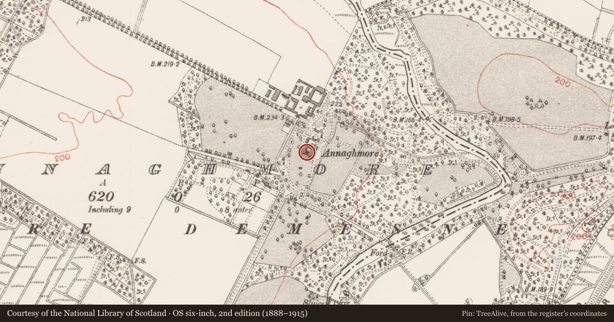 Ordnance Survey six-inch map, 2nd edition (1888–1915) covering the location of Bullaun stone, Annagh More, County Sligo, with a pin at the register's coordinates