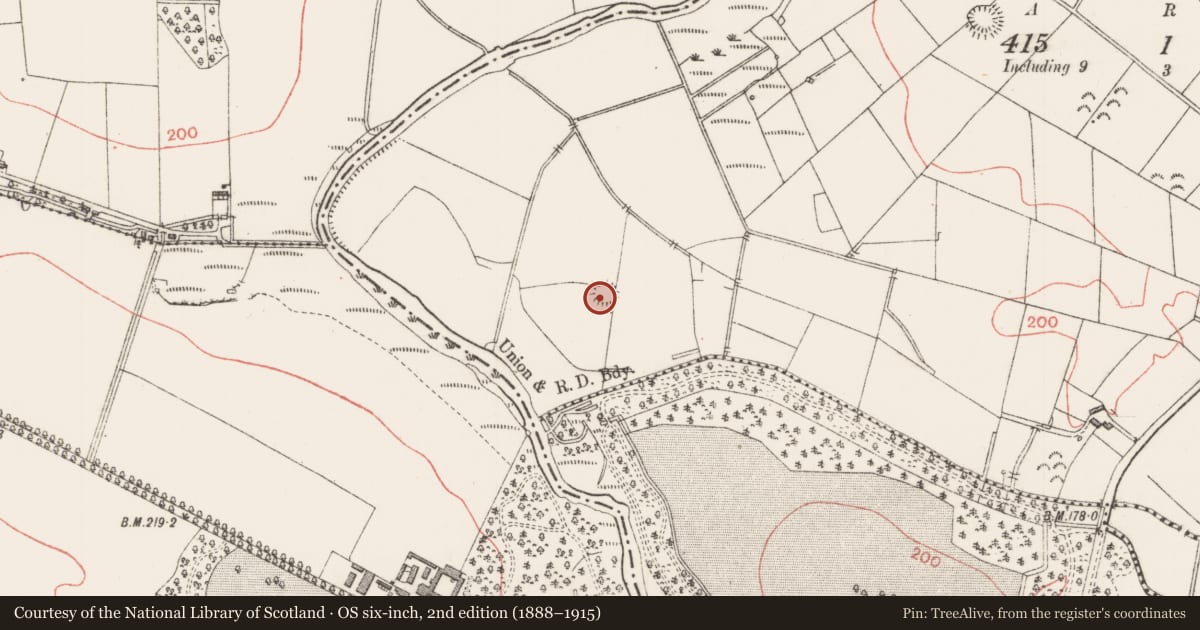 Ordnance Survey six-inch map, 2nd edition (1888–1915) covering the location of Ringfort - rath, Knockbeg West, County Sligo, with a pin at the register's coordinates