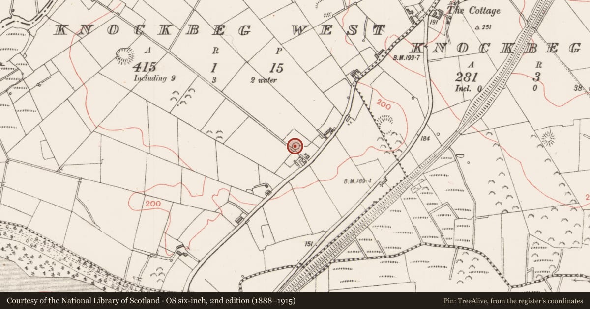 Ordnance Survey six-inch map, 2nd edition (1888–1915) covering the location of Standing stone, Knockbeg West, County Sligo, with a pin at the register's coordinates
