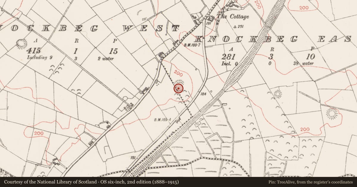 Ordnance Survey six-inch map, 2nd edition (1888–1915) covering the location of Ringfort - rath, Knockbeg East, County Sligo, with a pin at the register's coordinates