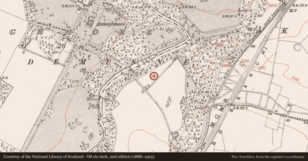 Ordnance Survey six-inch map, 2nd edition (1888–1915) covering the location of Enclosure, Annaghmore, County Sligo, with a pin at the register's coordinates