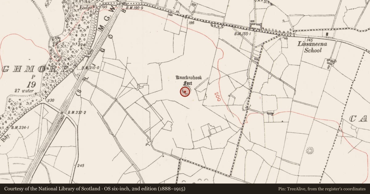 Ordnance Survey six-inch map, 2nd edition (1888–1915) covering the location of Ringfort - rath, Ballynaboll, County Sligo, with a pin at the register's coordinates