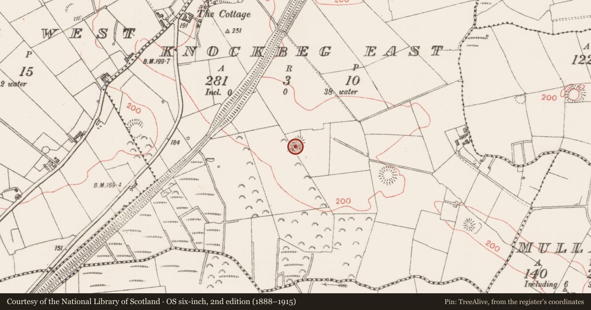Ordnance Survey six-inch map, 2nd edition (1888–1915) covering the location of Ringfort - rath, Knockbeg East, County Sligo, with a pin at the register's coordinates
