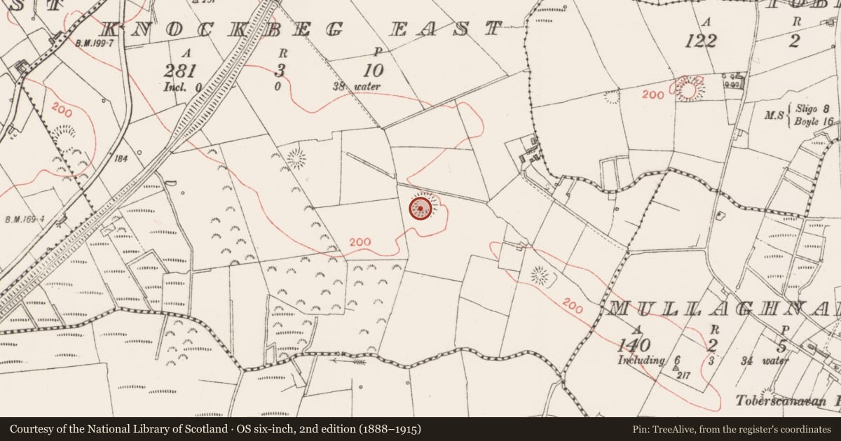 Ordnance Survey six-inch map, 2nd edition (1888–1915) covering the location of Ringfort - rath, Knockbeg East, County Sligo, with a pin at the register's coordinates