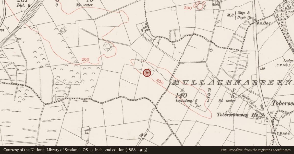 Ordnance Survey six-inch map, 2nd edition (1888–1915) covering the location of Ringfort - rath, Knockbeg East, County Sligo, with a pin at the register's coordinates