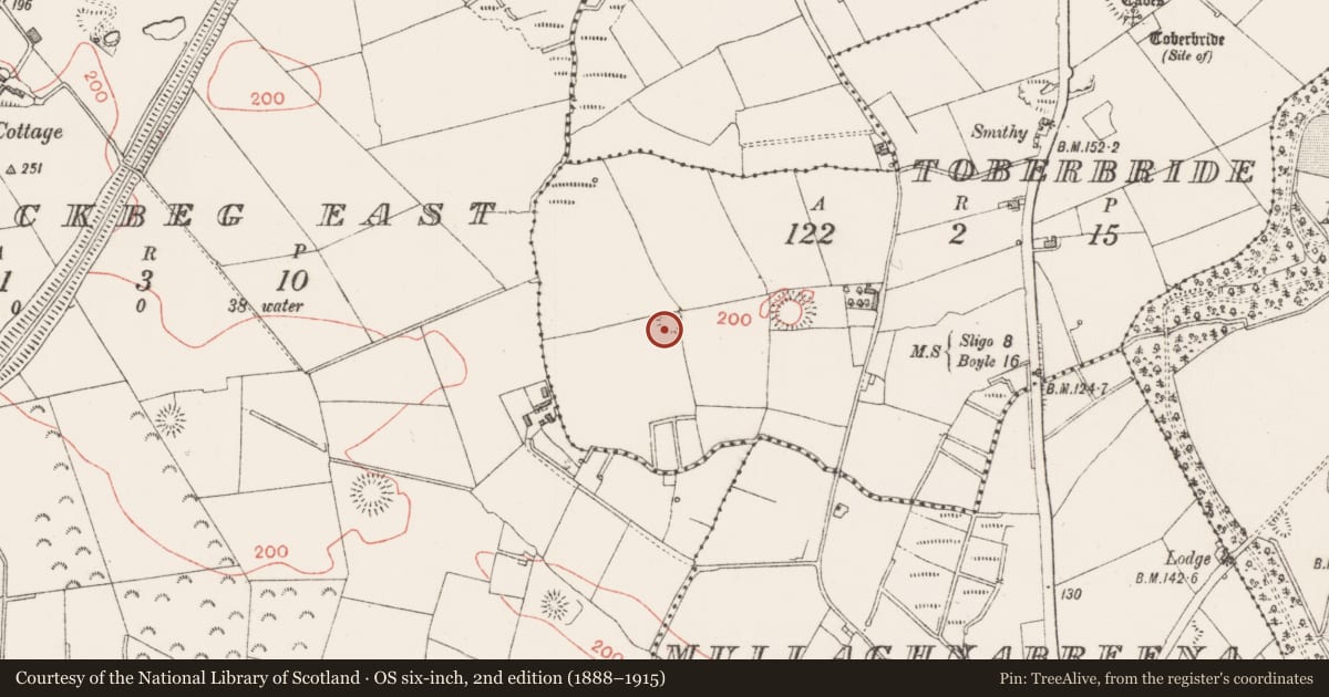 Ordnance Survey six-inch map, 2nd edition (1888–1915) covering the location of Ringfort - rath, Toberbride, County Sligo, with a pin at the register's coordinates