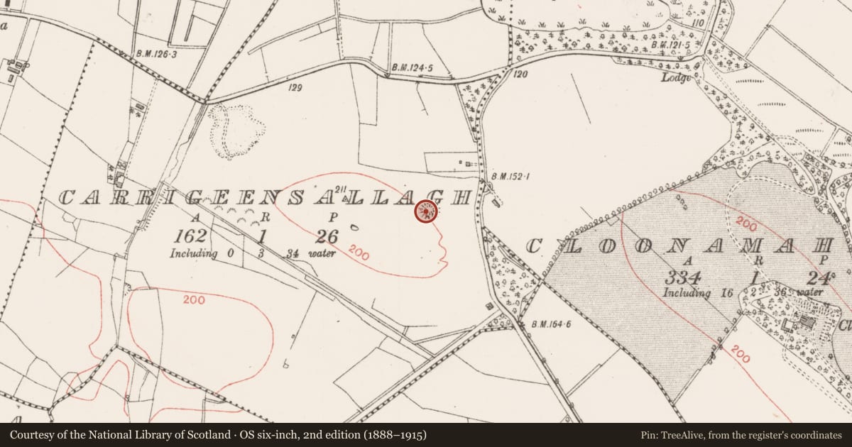 Ordnance Survey six-inch map, 2nd edition (1888–1915) covering the location of Ringfort - rath, Carrigeensallagh, County Sligo, with a pin at the register's coordinates
