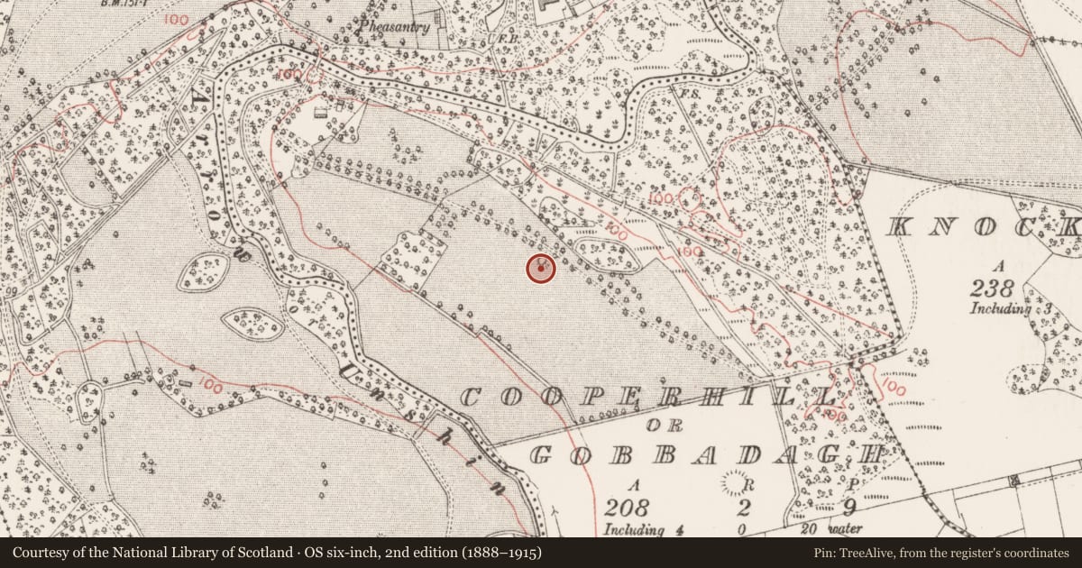 Ordnance Survey six-inch map, 2nd edition (1888–1915) covering the location of Enclosure, Cooperhill Or Gobbadagh, County Sligo, with a pin at the register's coordinates