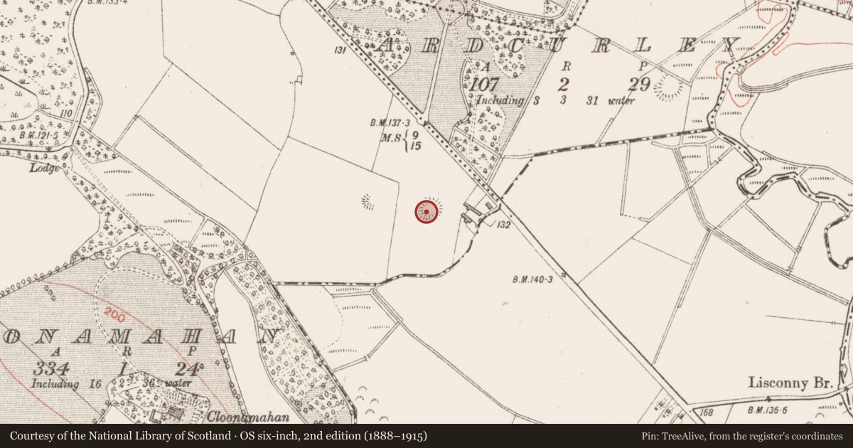 Ordnance Survey six-inch map, 2nd edition (1888–1915) covering the location of Ringfort - rath, Cloonamahan, County Sligo, with a pin at the register's coordinates