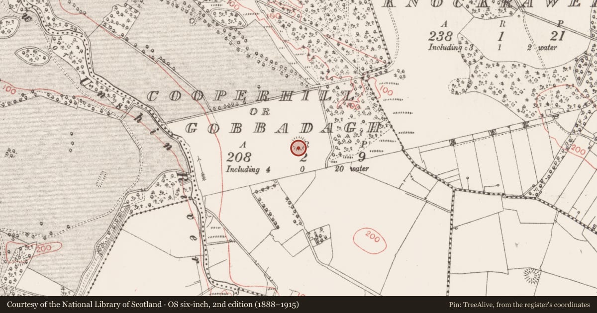 Ordnance Survey six-inch map, 2nd edition (1888–1915) covering the location of Ringfort - rath, Cooperhill Or Gobbadagh, County Sligo, with a pin at the register's coordinates