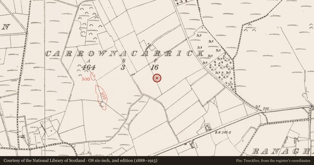 Ordnance Survey six-inch map, 2nd edition (1888–1915) covering the location of Ringfort - rath, Carrownacarrick, County Sligo, with a pin at the register's coordinates