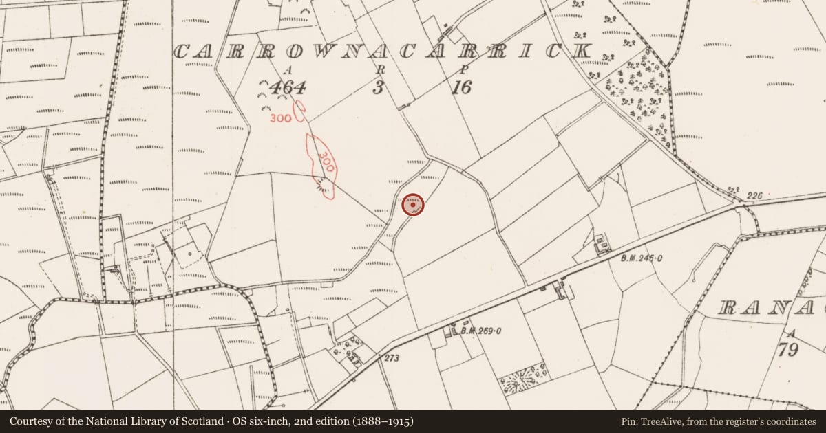 Ordnance Survey six-inch map, 2nd edition (1888–1915) covering the location of Enclosure, Carrownacarrick, County Sligo, with a pin at the register's coordinates