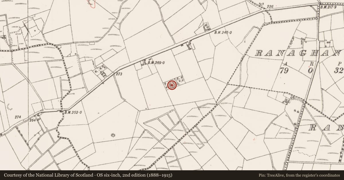 Ordnance Survey six-inch map, 2nd edition (1888–1915) covering the location of Ringfort - rath, Carrownacarrick, County Sligo, with a pin at the register's coordinates