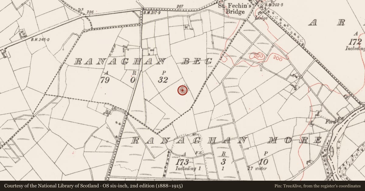 Ordnance Survey six-inch map, 2nd edition (1888–1915) covering the location of Ringfort - rath, Ranaghan Beg, County Sligo, with a pin at the register's coordinates
