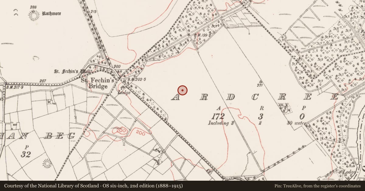 Ordnance Survey six-inch map, 2nd edition (1888–1915) covering the location of Ringfort - rath, Ardcree, County Sligo, with a pin at the register's coordinates