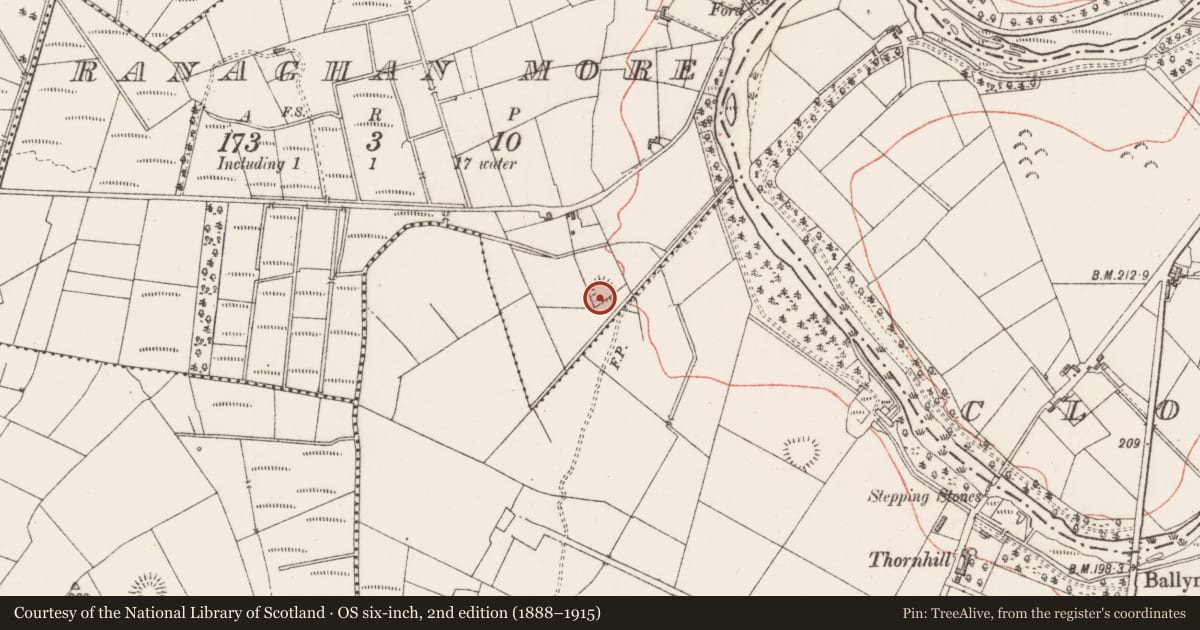 Ordnance Survey six-inch map, 2nd edition (1888–1915) covering the location of Ringfort - rath, Ranaghan More, County Sligo, with a pin at the register's coordinates