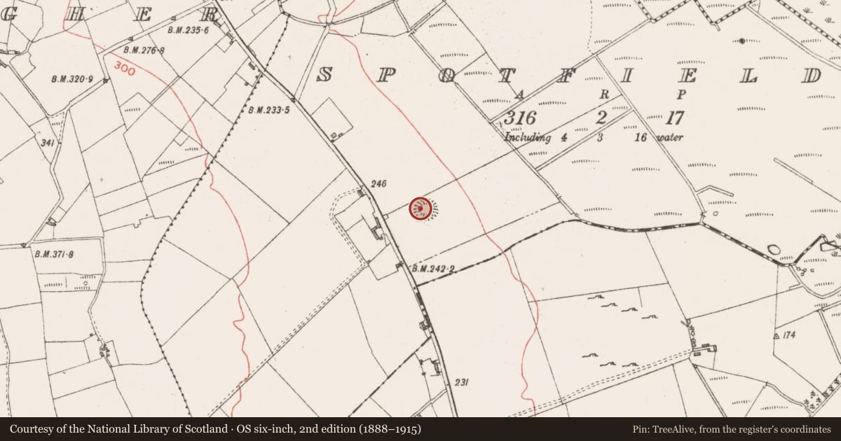 Ordnance Survey six-inch map, 2nd edition (1888–1915) covering the location of Ringfort - rath, Spotfield, County Sligo, with a pin at the register's coordinates