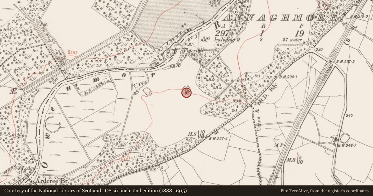 Ordnance Survey six-inch map, 2nd edition (1888–1915) covering the location of Designed landscape - tree-ring, Annaghmore, County Sligo, with a pin at the register's coordinates