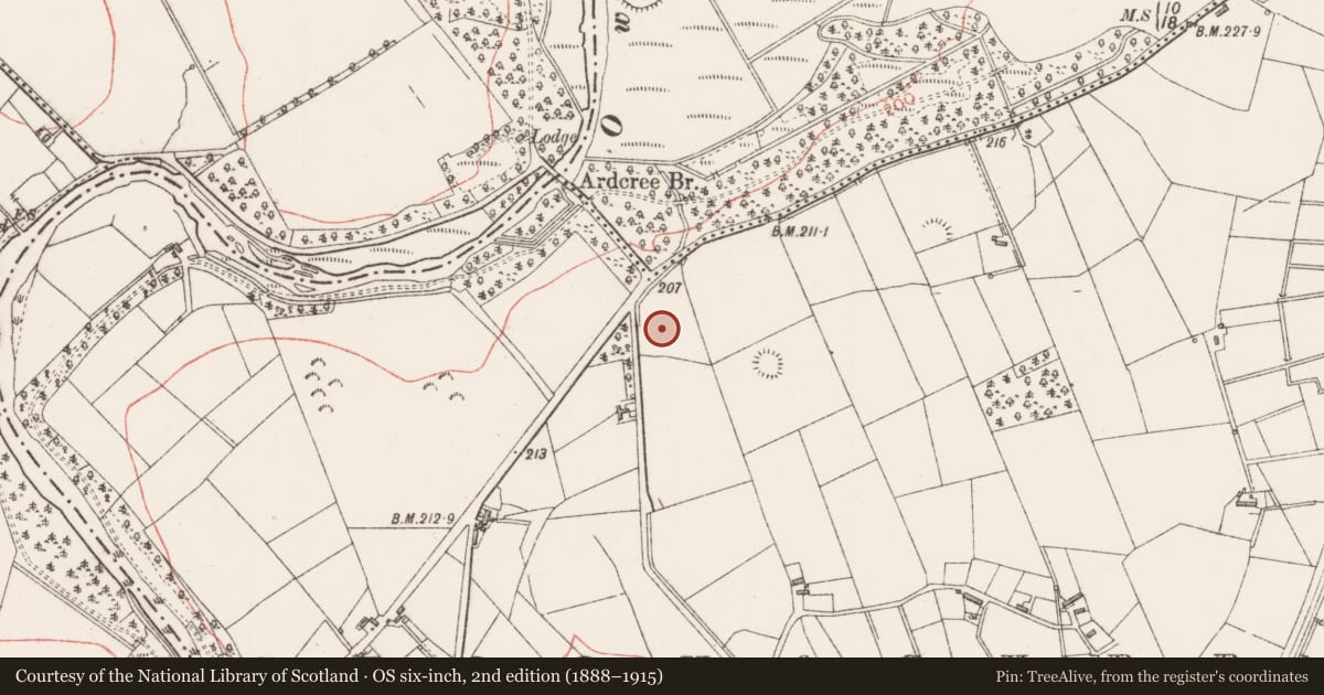 Ordnance Survey six-inch map, 2nd edition (1888–1915) covering the location of Ringfort - rath, Cloonacurra, County Sligo, with a pin at the register's coordinates
