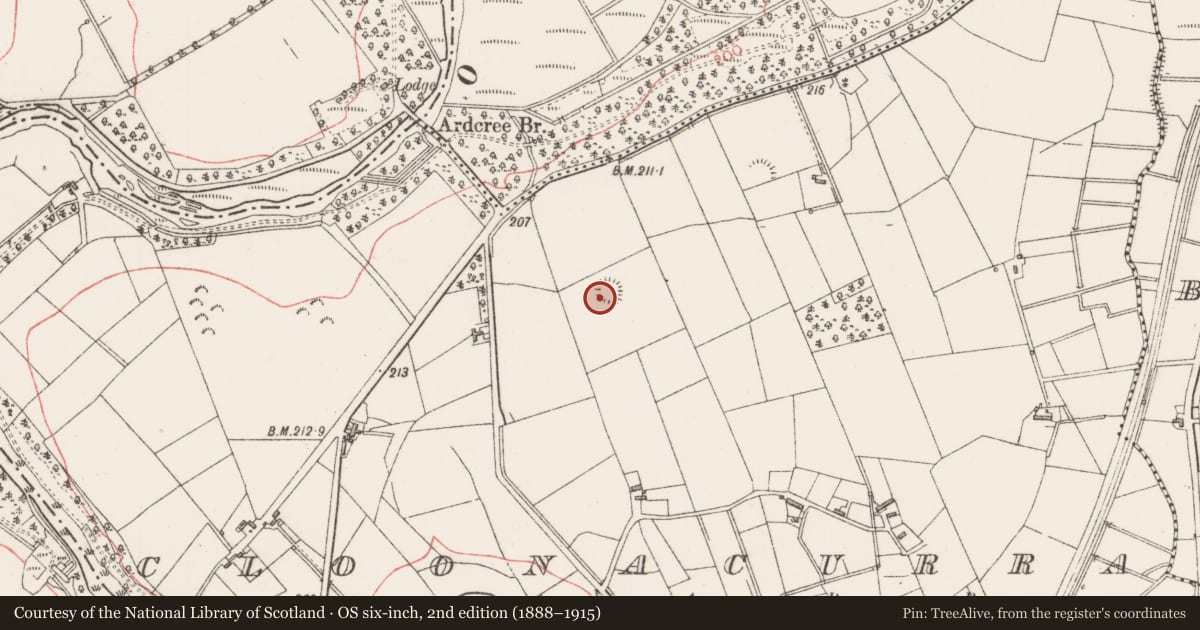 Ordnance Survey six-inch map, 2nd edition (1888–1915) covering the location of Moated site, Cloonacurra, County Sligo, with a pin at the register's coordinates