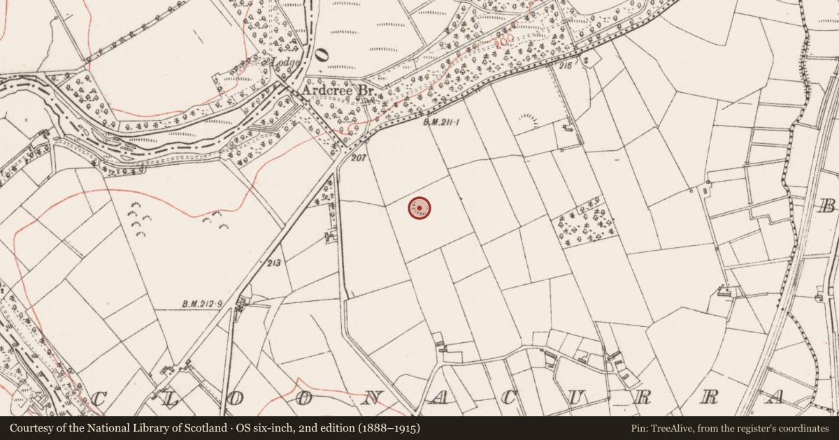 Ordnance Survey six-inch map, 2nd edition (1888–1915) covering the location of Hut site, Cloonacurra, County Sligo, with a pin at the register's coordinates