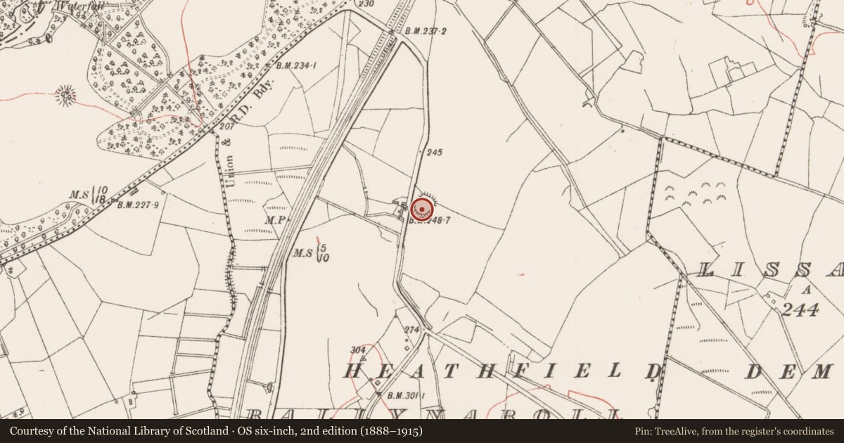 Ordnance Survey six-inch map, 2nd edition (1888–1915) covering the location of Ringfort - rath, Ballynaboll, County Sligo, with a pin at the register's coordinates