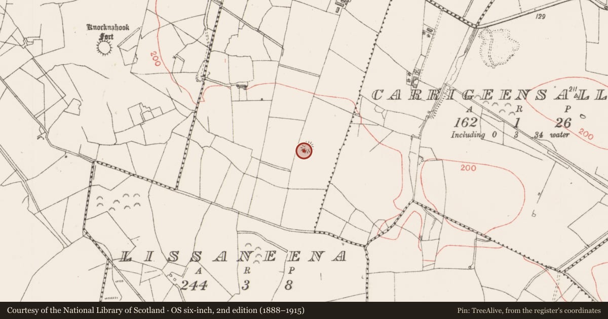 Ordnance Survey six-inch map, 2nd edition (1888–1915) covering the location of Ringfort - rath, Lissaneena, County Sligo, with a pin at the register's coordinates