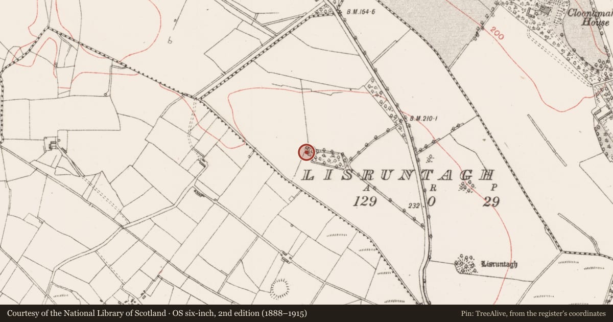 Ordnance Survey six-inch map, 2nd edition (1888–1915) covering the location of Ringfort - rath, Lisruntagh, County Sligo, with a pin at the register's coordinates