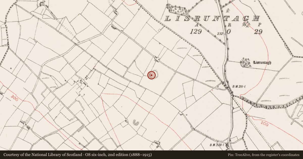 Ordnance Survey six-inch map, 2nd edition (1888–1915) covering the location of Ringfort - rath, Carrickbanagher, County Sligo, with a pin at the register's coordinates