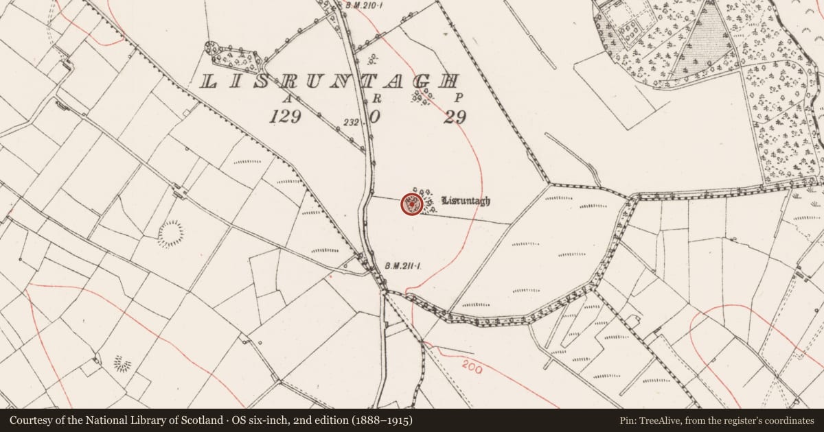 Ordnance Survey six-inch map, 2nd edition (1888–1915) covering the location of Ringfort - rath, Lisruntagh, County Sligo, with a pin at the register's coordinates