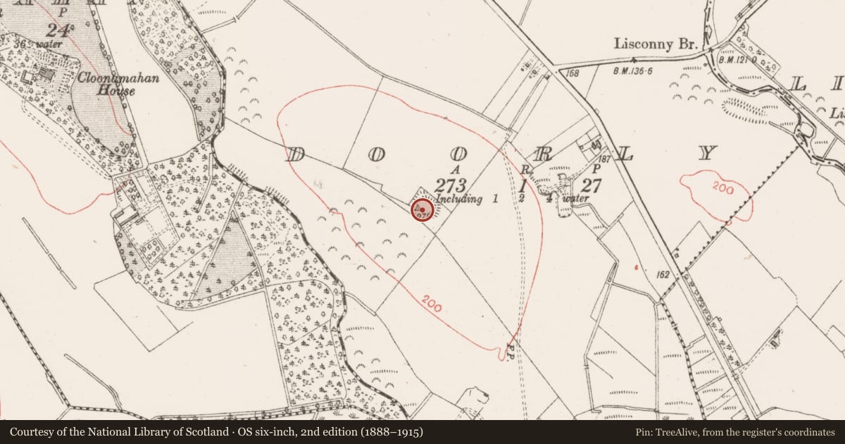 Ordnance Survey six-inch map, 2nd edition (1888–1915) covering the location of Ringfort - rath, Doorly, County Sligo, with a pin at the register's coordinates