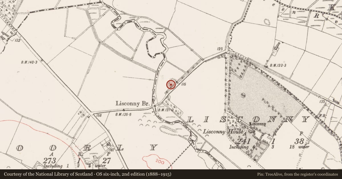Ordnance Survey six-inch map, 2nd edition (1888–1915) covering the location of Ringfort - rath, Lisconny, County Sligo, with a pin at the register's coordinates